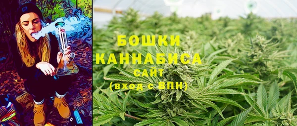 каннабис Новозыбков