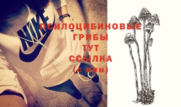 каннабис Новозыбков