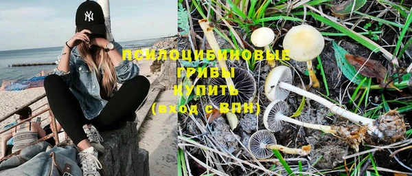 МДПВ Новодвинск