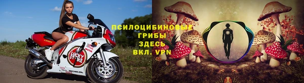 амф Нязепетровск
