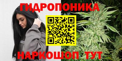 гашишное масло Берёзовский