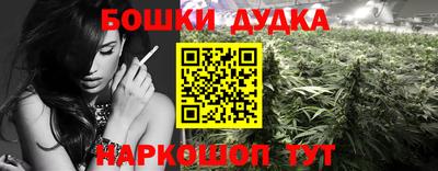 Альфа ПВП Беслан