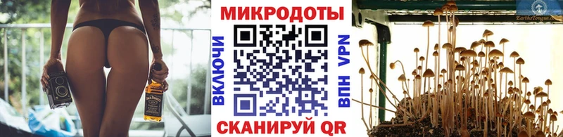 Псилоцибиновые грибы Magic Shrooms  hydra как зайти  Менделеевск 