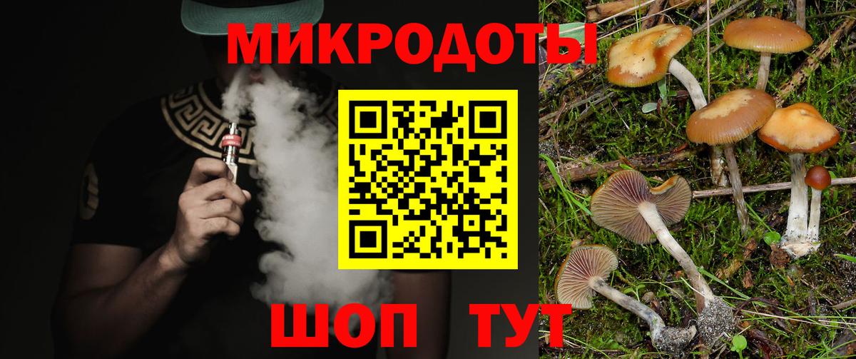 Псилоцибиновые грибы Cubensis Менделеевск